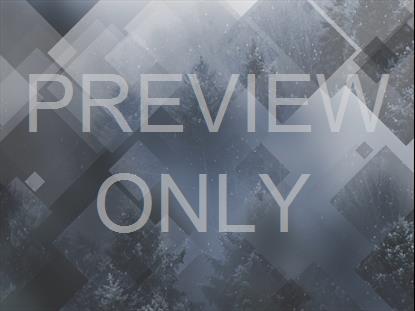 WINTER JOURNEY 03 STILL