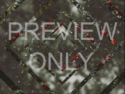 WINTER JOURNEY 09 STILL