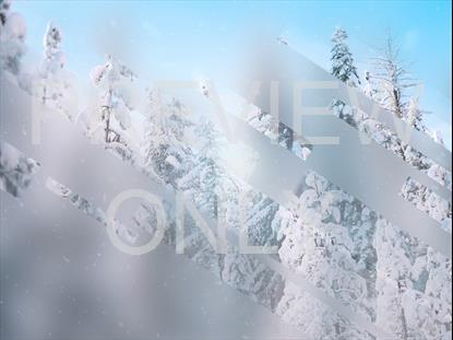 WINTER JOURNEY 12 STILL