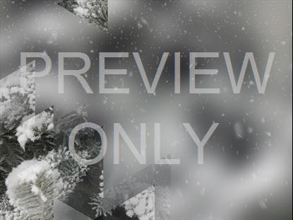 WINTER JOURNEY 14 STILL