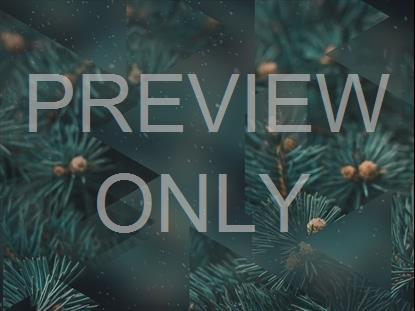 WINTER JOURNEY 15 STILL