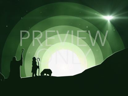 WINTER NIGHT SHEPHERD