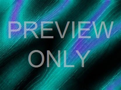 WOODEN GRADIENTS STILL 03