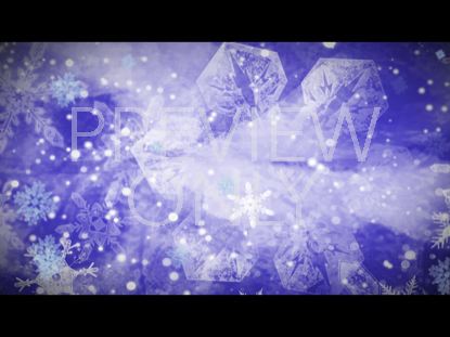 WINTER DELIGHT STILL 5