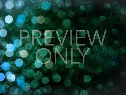 WINTER FROST BOKEH STILL 6