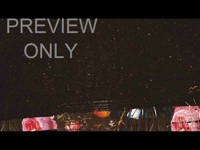 A CROSS A GRAVE A HOPE: 6 STILL