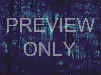 AUTUMN LEAVES CYAN ALT