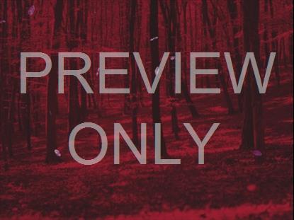 AUTUMN LEAVES MONTAGE