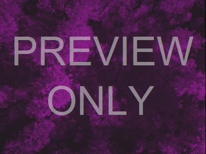 AUTUMN LEAVES PURPLE