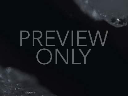 BLACK AND WHITE BOKEH