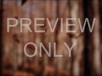 BLURRY FALLING LEAVES