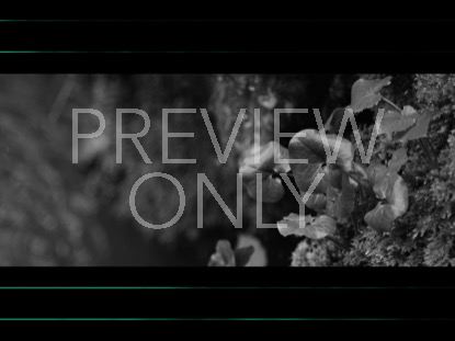 BW CLIFFSIDE TEAL GEO