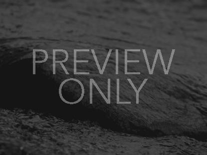 BLACK AND WHITE ON THE ROCKS