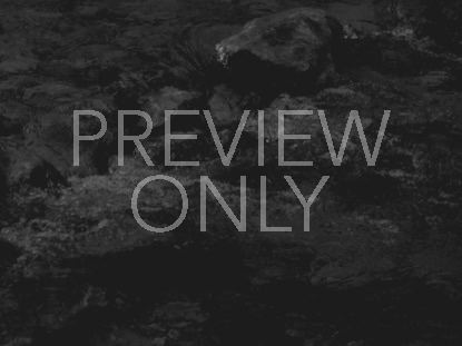 BLACK AND WHITE POOL