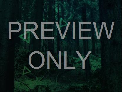 Dark Green Forest | Dan Stevers | WorshipHouse Media