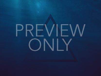 ENDLESS SUMMER TRIANGLE