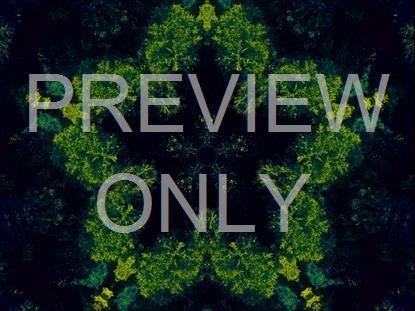 FALL KALEIDOSCOPE NEON