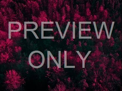 FALL LEAVES ANGLE NEON