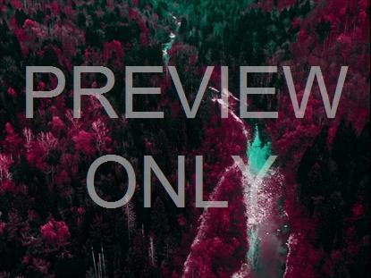 FALL LEAVES MONTAGE NEON 10