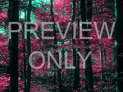 FALL LEAVES MONTAGE NEON 12