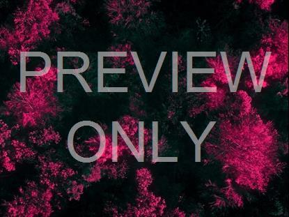 FALL LEAVES MONTAGE NEON 13