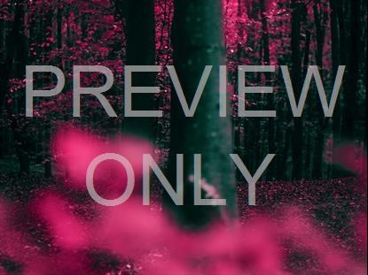 FALL LEAVES MONTAGE NEON 3