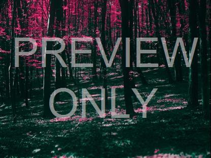 FALL LEAVES MONTAGE NEON 4