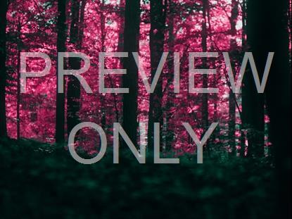 FALL LEAVES MONTAGE NEON 5