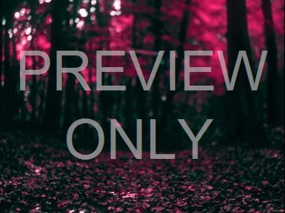 FALL LEAVES MONTAGE NEON 6