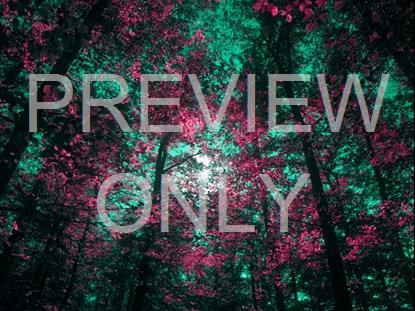 FALL LEAVES MONTAGE NEON 8