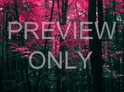 FALL LEAVES MONTAGE NEON GLITCH