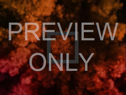 FALL LEAVES TOP DOWN BLUR