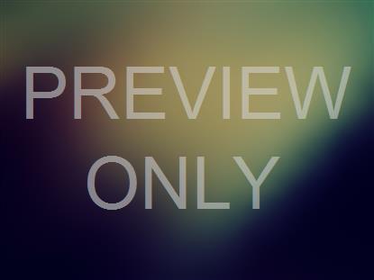 MISTY COLORS 11 STILL