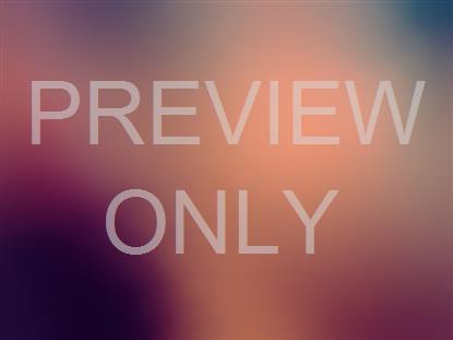 MISTY COLORS 12 STILL