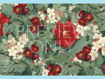 MOTHERS DAY 2018 1