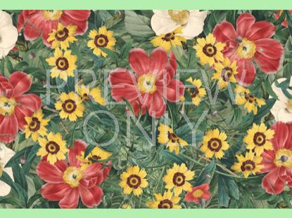 MOTHERS DAY 2018 1B