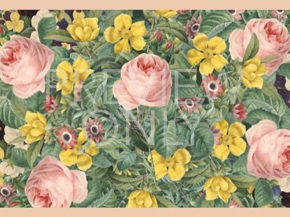 MOTHERS DAY 2018 1C