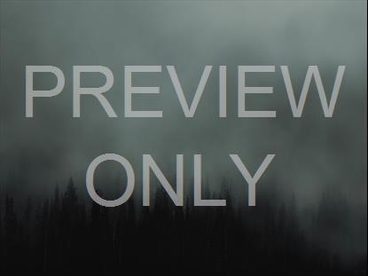 ROLLING FOG FOREST PLAIN