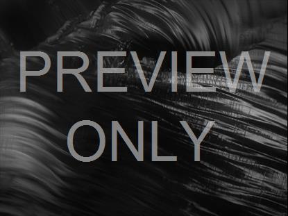 SCULPTED GLASS BW SMOOTH RIPPLES