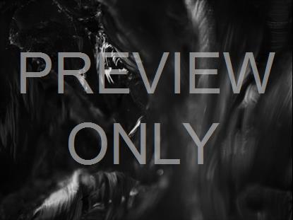 SCULPTED GLASS BW SOFT SCROLL