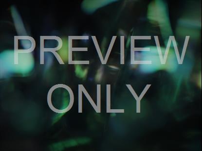 SCULPTED GLASS IRIDESCENT GREEN