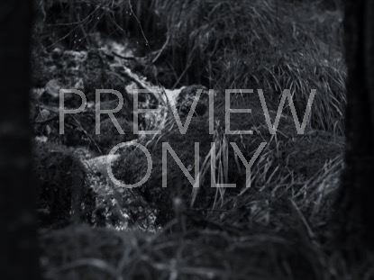 STREAM BW