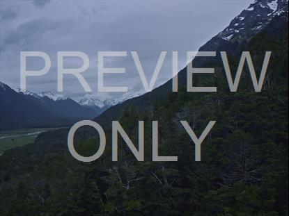 TREE COVERED MOUNTAINS