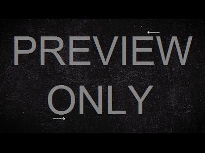 VIBRANT CHURCH ONLINE 14