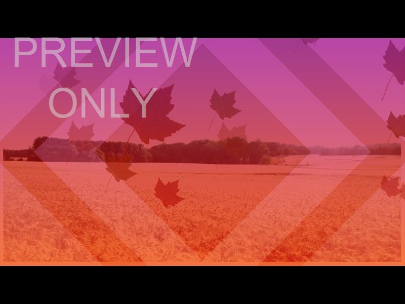 HARVEST BACKGROUND STILL 6