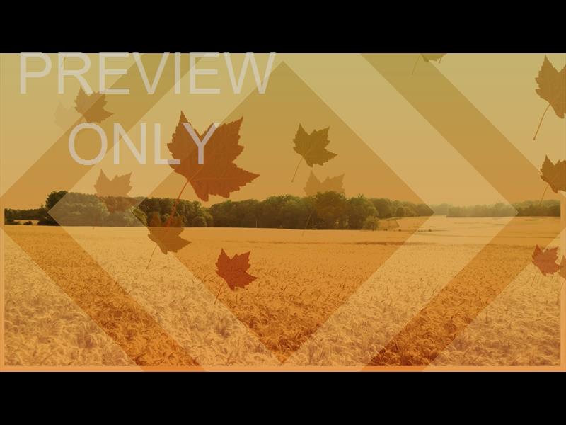 HARVEST BACKGROUND STILL 8
