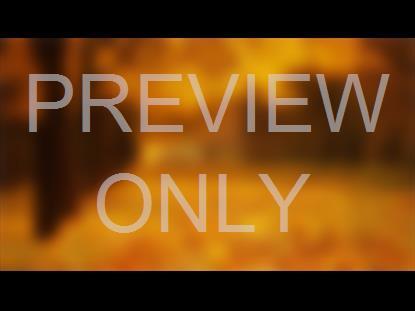 COLORS OF NATURE STILL 1