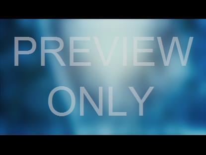 COLORS OF NATURE STILL 4