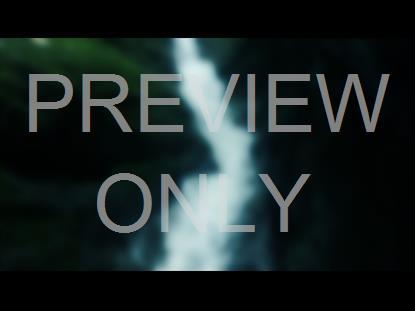 COLORS OF NATURE STILL 6