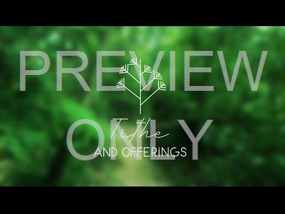 COLORS OF NATURE TITHE STILL